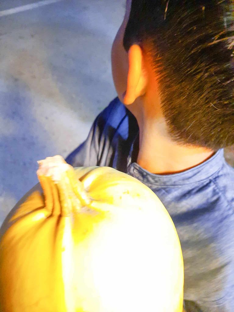 an orange pumpkin in a child's hand as he looks away