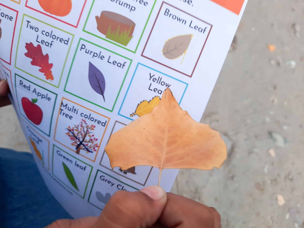 child holding a fall leaf and a fall scavenger hunt printable